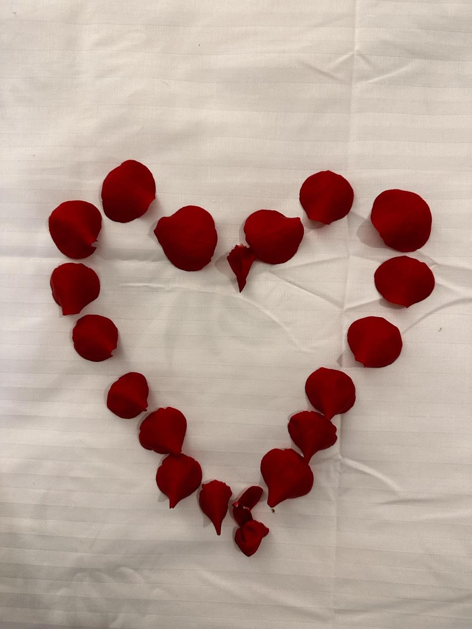 Romantic Charm, Spa, Free Early Check-In 布加勒斯特 外观 照片